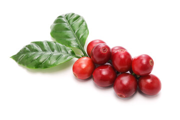 Wall Mural - fresh red coffee beans with leaves on white background