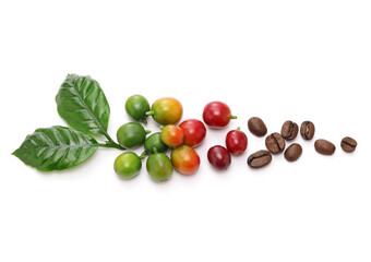 Wall Mural - fresh red coffee beans with leaves on white background