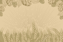 Field Of Wheat Vector. Hops Nature Background For Beer.