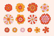 Retro set with different daisy flowers. Colorful vector illustration isolated on white background in vintage style. 70s 60s nostalgic elements for poster, card, etc