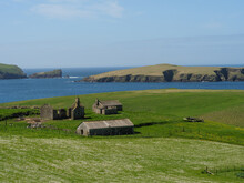 Die Shetland Inseln