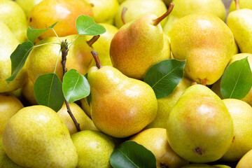 Sticker - fresh ripe pears as background