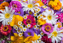 Bouquet Of Various Summer Flowers As Background