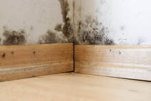 Damp Buildings Damaged By Black Mold And Fungus, Dampness Or Water. Infiltration, Insulation And Mold Problems In The Wall Of The House