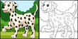 Dalmatian Dog Coloring Page Colored Illustration