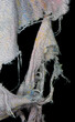 A torn and ragged and fabric cloth in closeup