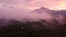 The Fog Is Shown To Be Contagious And Frightening. An Alarming One That Has Accumulated In The Air And Created An Impenetrable Milk Jelly Over The Rainforest. Aerial Video From A Drone.