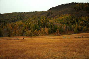 The remains of ancient burials in a picturesque autumn valley at the foot of a high hill.