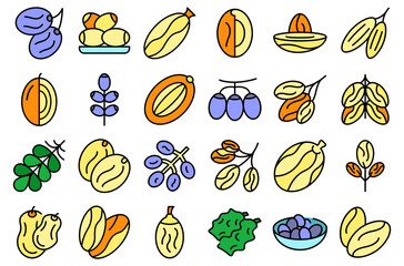 Wall Mural - Date fruit icons set outline vector. Leaf food. Dried branch thin line color flat on white