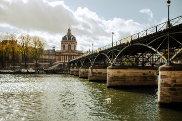 Wall Mural - view of the seine in paris