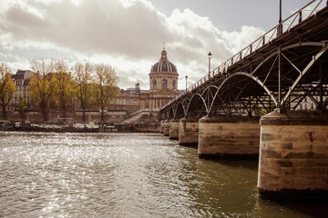 Wall Mural - view of the seine in paris