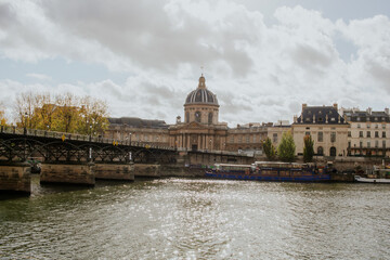 Wall Mural - view of the seine in paris