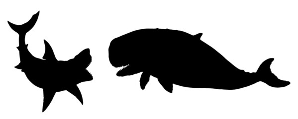 Sticker - Shark megalodon attacks a prehistoric whale Livyatan. Battle of the animals silhouette drawing. 