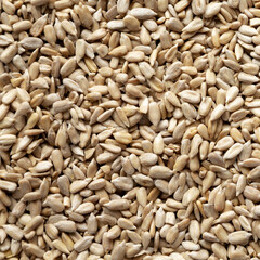 Raw Organic Sunflower Seed Kernels