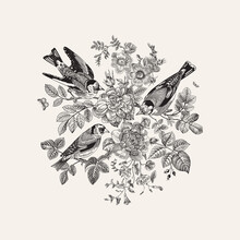 There Are Three Birds In The Rose Bushes. Vector Vintage Classic Floral Composition. Black And White