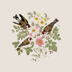 There are three birds in the rose bushes. Vector vintage classic floral composition.