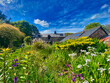 Cottage and garden in Cornwall