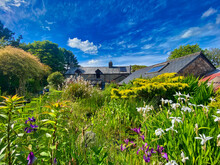 Cottage And Garden In Cornwall
