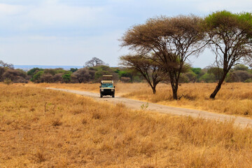 Poster - Off road car driving in Tarangire national park in Tanzania. Safari in Africa