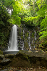  熊本県　白糸の滝