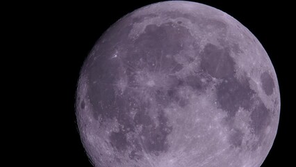 Wall Mural - Full moon on dark black sky background, shot from surface of earth with very long telephoto lens. Grey white moon glowing at clear sky.