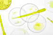 © ADDICTIVE STOCK - Liquid yellow samples in laboratory glassware on white background
