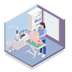 Poster - Isometric Pig Vaccination Composition