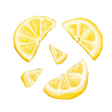 Lemon Slices Watercolour Elements Isolated On White Background
