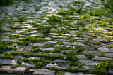 Fototapeta  - Cobblestone street in Iserlohn Sauerland Germany. Wheathered historic basalt ashlars or blocks in a with growing fresh green weeds and grass filling the gaps and fugues. Backlit by low evening sun.