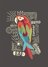 Parrot Drawing Creative T-shirt Graphic With Colorful Bird. Tropical Macaw Bird Boho Style Apparel Print. Vector Illustration.