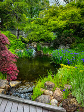 Pond And Waterfall At Ginter Botanical Garden In Richmond Virginia