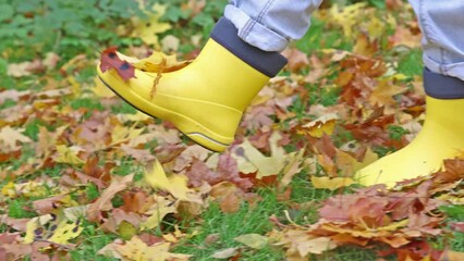 Wall Mural - slow motion video with yellow boots walking in autumn leaves