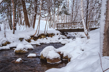 Wall Mural - View on small river, a bridge and the forest, covered with snow in winter in a park nearby Tremblant ski resort in Quebec (Canada)