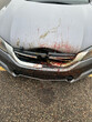 Front of a car after impact from a deer