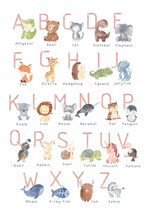 ABC Alphabet With Animals For Girls. Watercolor Illustration For Kids