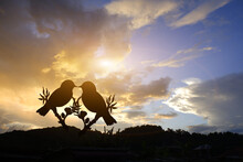 Silhouette Of A Couple Of Love Birds With Calm Orange Sunset. In A Heart Shape On A Pastel Background And Valentine's Day.