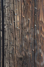 Wooden Telephone Pole Closeup With Nails And Staples Left In Wood From Removed Posters And Notices
