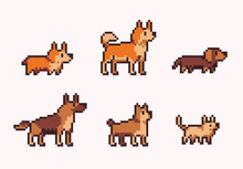 Pure Breed Dogs Pixel Art Set. Different Types Of Canine Collection. 8 Bit Sprite. Game Development, Mobile App.  Isolated Vector Illustration.