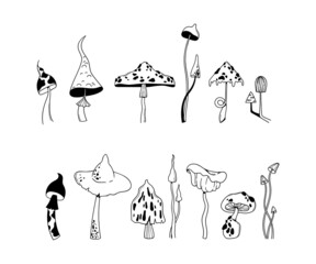 Wall Mural - hand drawn mushroom isolated clip art bundle, outline poisonous fungi - fly agaric, amanita, toadsto