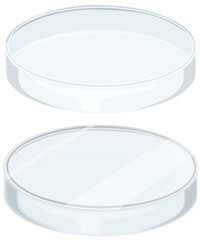 Wall Mural - glass petri dish on white background