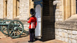 Undefined London tower guard