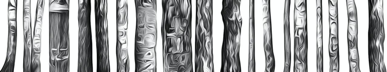 Poster - black and white stylized drawing of tree trunks