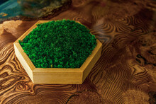 Stabilized Moss In A Hexagonal Wooden Box Stands On An Epoxy Resin Table. Eco-friendly Interior Detail