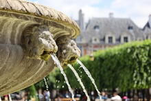 Close Up Fountain In A Parisian Garden