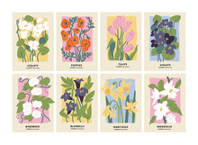 Vector Illustration Set Of Botanical Posters Different Flowers. Art For For Postcards, Wall Art, Banner, Background.
