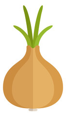 Wall Mural - Onion flat icon. Natural vegetable. Cooking ingredient