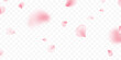 Sakura petal spring blossom. Flower flying background. Pink rose composition. Beauty Spa product frame. Valentine romantic card. Light delicate pastel design. Wedding card. Vector illustration