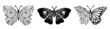 © Ansty art - Floral butterfly silhouette set. Vector monochrome illustration isolated on white background. Various moths with flower wings.