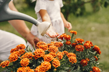 Little girl and her grandmother watering flowers in garden