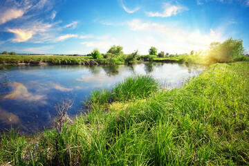 Wall Mural - river with green grass on shore and blue sky